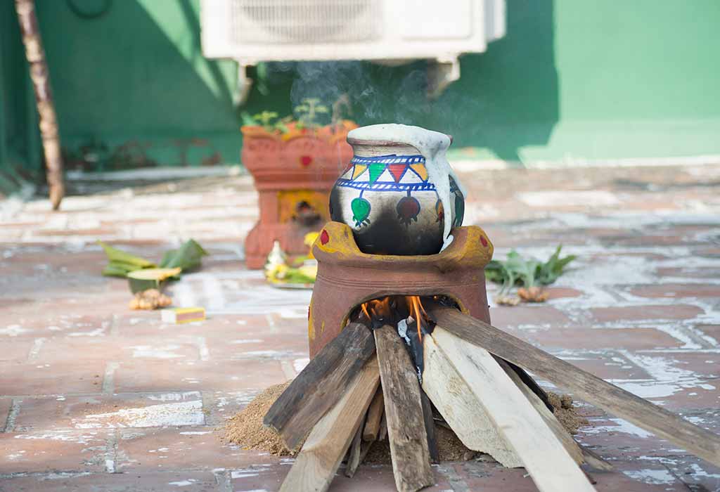 essay on my favourite festival pongal
