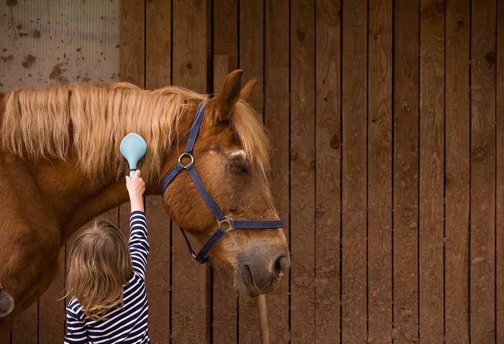 Horse
