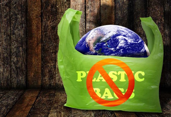 ban of plastic essay writing in english