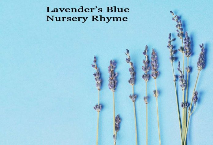 Lavender’s Blue Nursery Rhyme