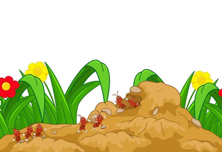 The Ants Go Marching Nursery Rhyme For Kids