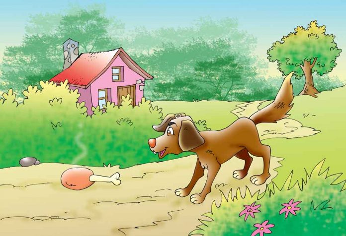 The Greedy Dog Story With Moral For Kids