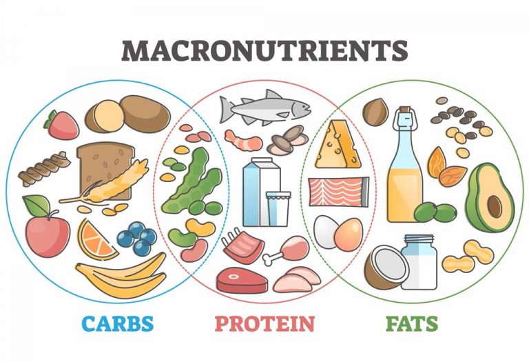 Essay On Balanced Diet (in English) for Classes 1, 2 & 3: 10 Lines ...