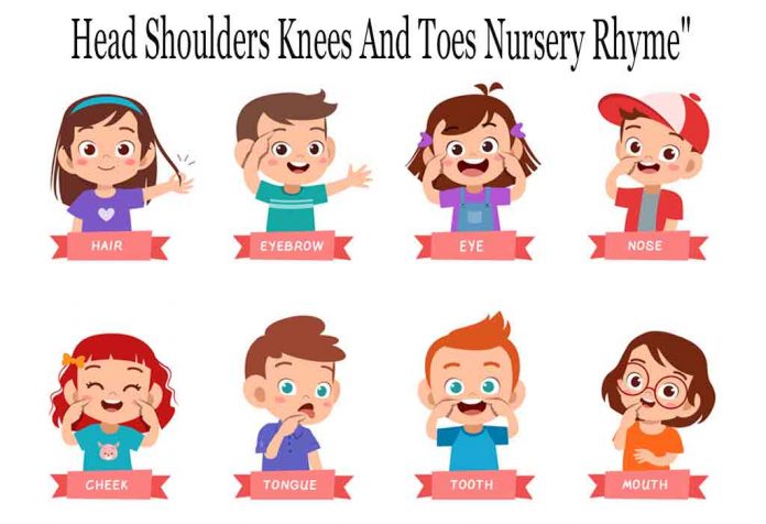 Head Shoulders Knees And Toes | Nursery Rhyme For Kids With Lyrics