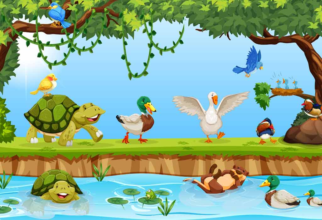 The Story Of The Tortoise And The Geese for Children