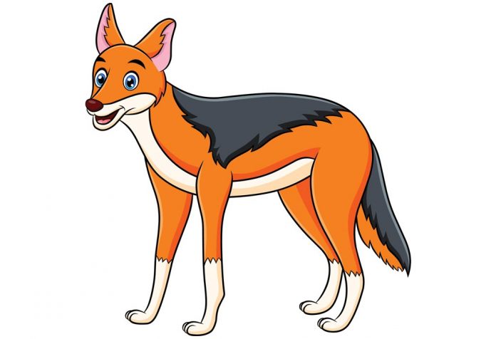 The Jackal And The Drum Story With Moral For Kids