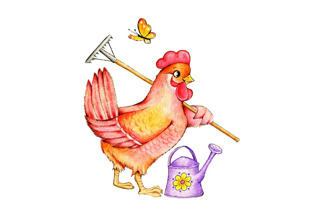 cute-hen-rakes-watering-can