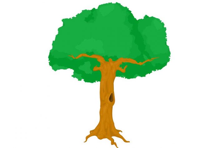 The Oak Tree and the Reeds Story with Moral for Kids