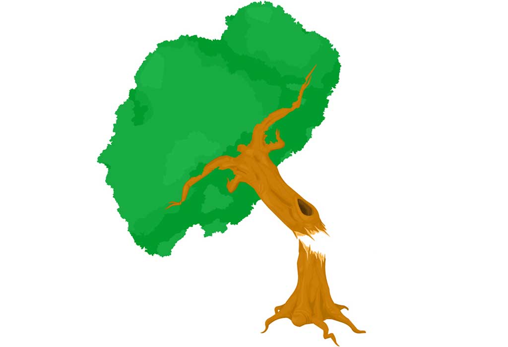The Oak Tree And The Reeds Story For Children