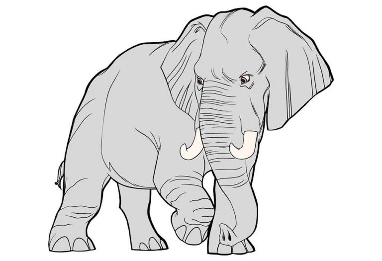 The Elephant And The Tailor Story For Children With Moral