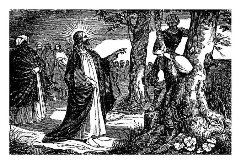 Zacchaeus Story For Children