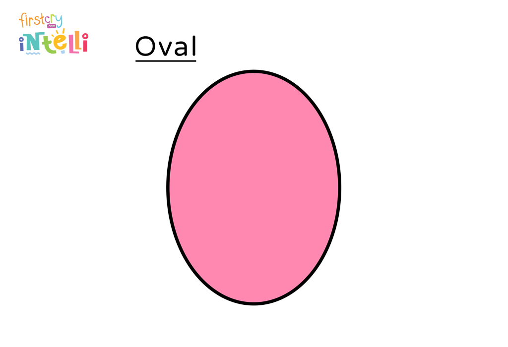 Oval   Oval Shape 