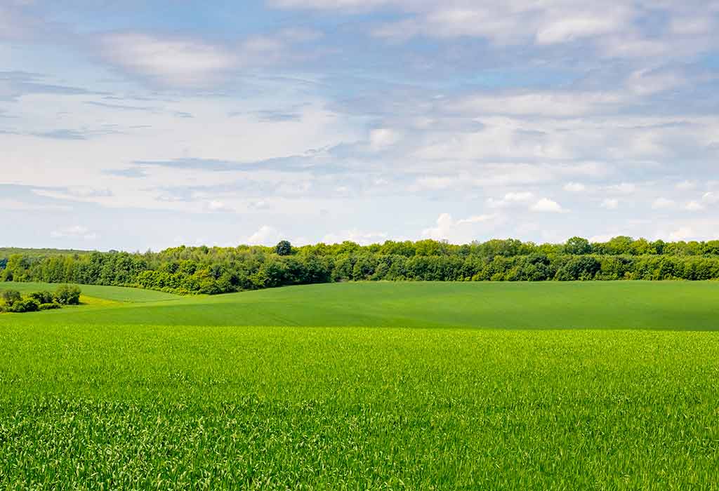 landforms plains for kids