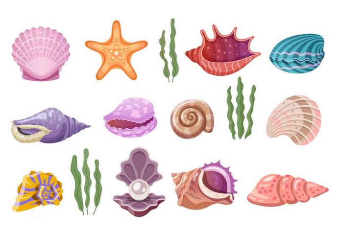 She Sells Seashells Nursery Rhyme