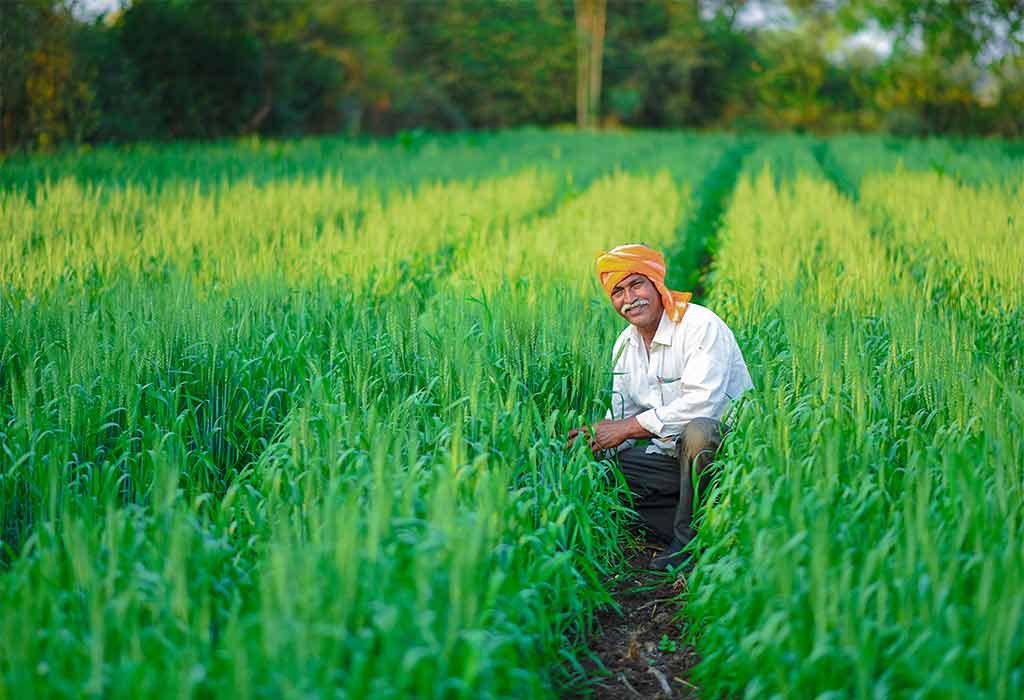 Essay On Agriculture In English For Classes 1 3 10 Lines Short Long 