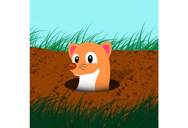 pop-goes-the-weasel-hd-with-lyrics-popular-nursery-rhymes-by-eflashapps-youtube