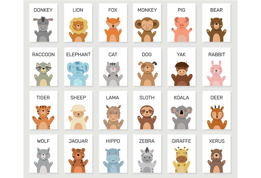 Animal Names, Types of Animals