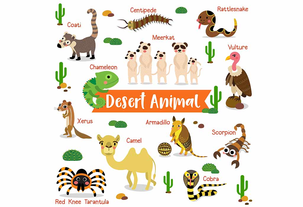 List of Animal Names For Preschoolers & Kids (With Pictures)