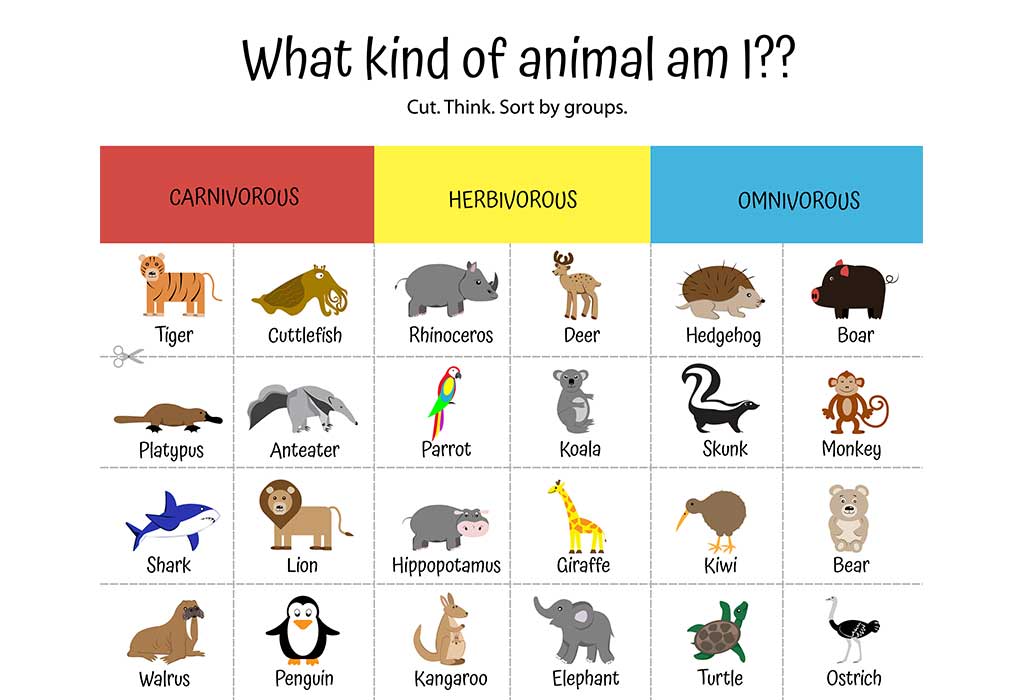 Carnivorous, Herbivorous And Omnivorous Animal Names For Children