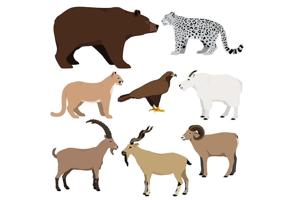 List of Mountain Animal Names To Teach Your Kids