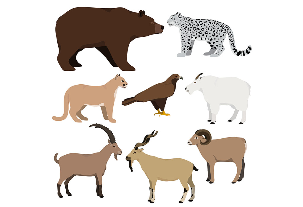 Mountain Animals List