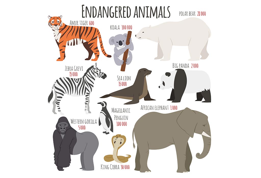 Teach Kids: Names of Animals That Are Endangered