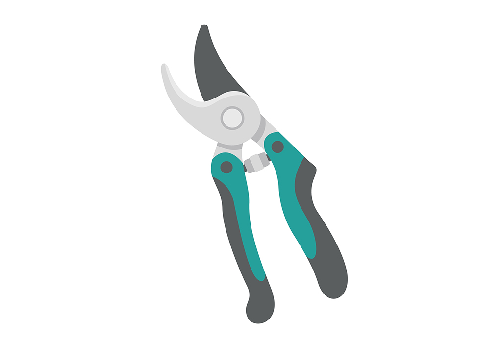 Pruning Shears