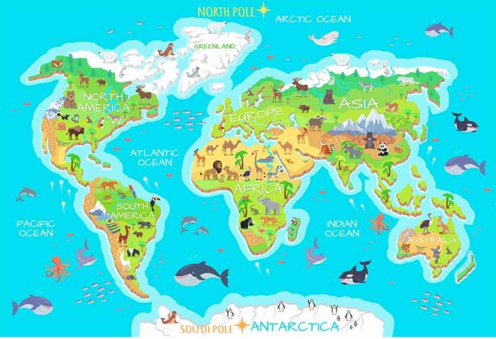 Flora and Fauna For Kids