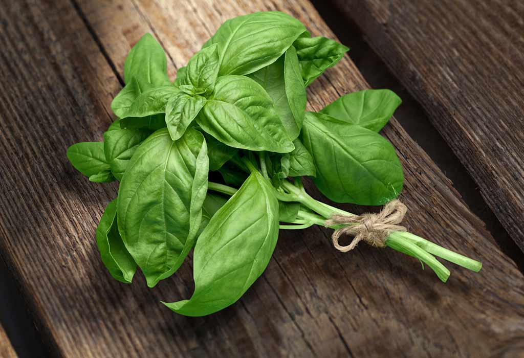 Basil