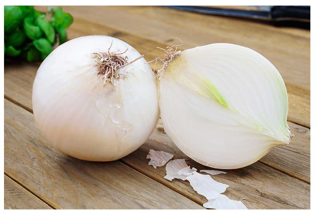 Onion