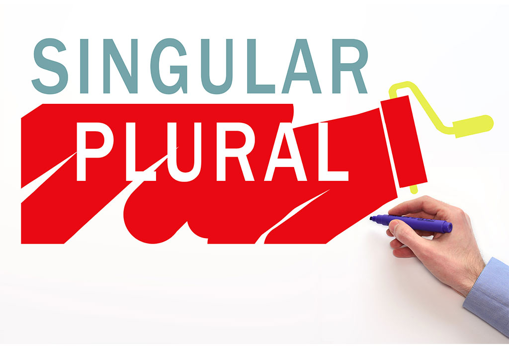Singular and plural  English Language  Notes  Teachmint