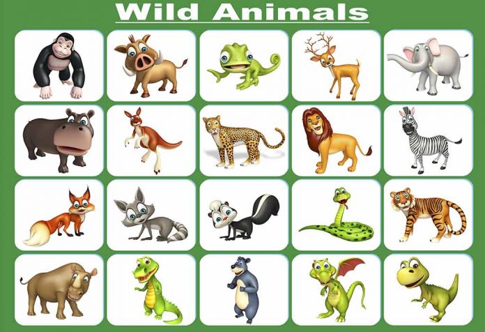 Names of Wild Animals For Preschoolers and Kids In English