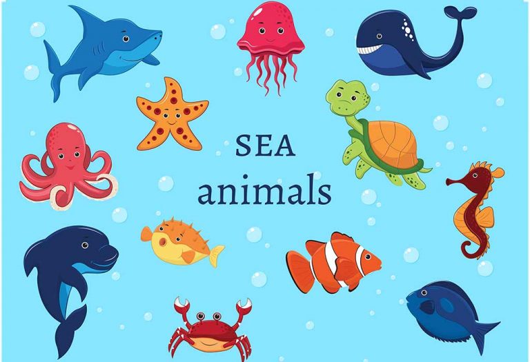 List Of Sea Animals Names For Preschoolers & Kids