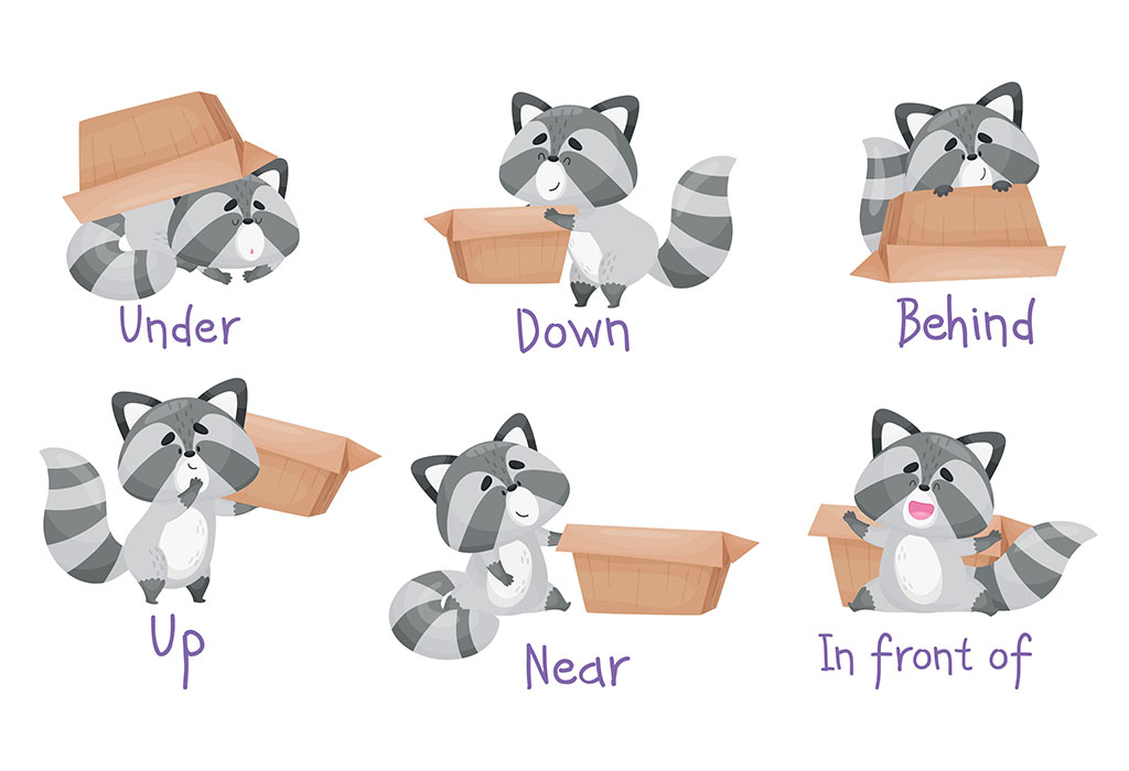 Prepositions activities for in on under and behind, Teaching Resources