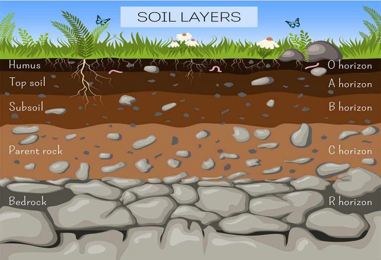 Teach Layers Of Soil For Preschool Kids With These Activities