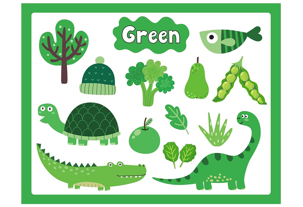 Teach Your Child About The Things That Are Green in Colour