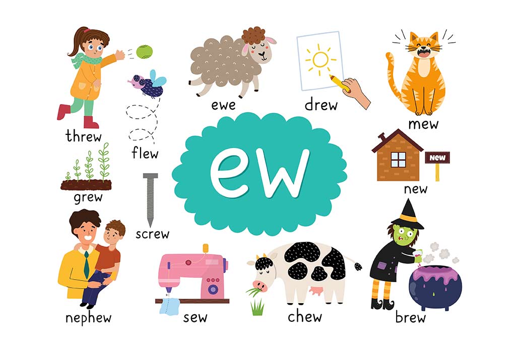 Explore and learn words from aw word family with word list worksheet