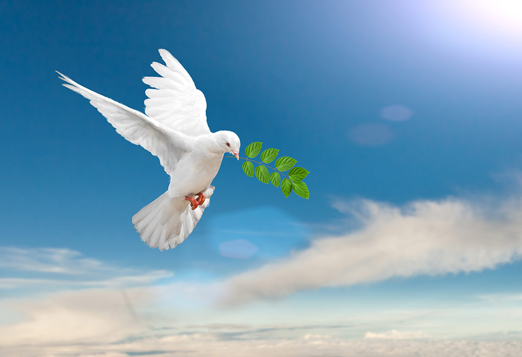 Doves