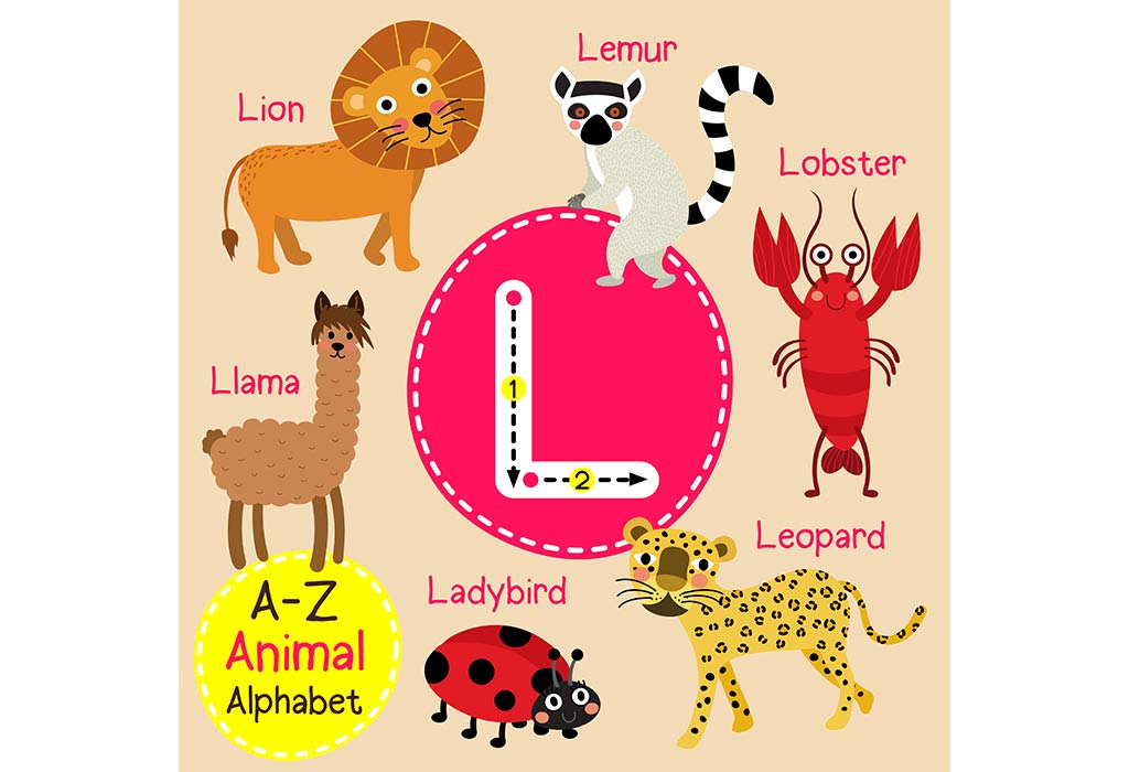 Teach Kids: List of Animal Names That Start With Letter 'L'