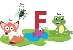 Teach Kids: List of Names of Animals That Start With Letter 'F'