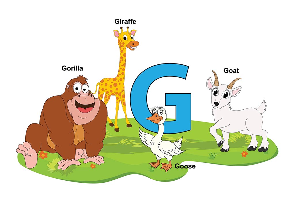 Teach Kids List Of Names Of Animals That Start With Letter G 