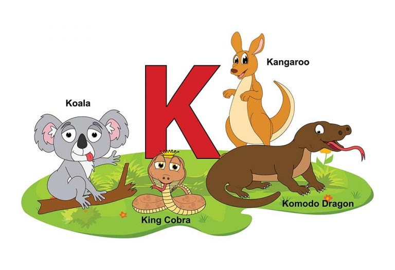 Teach Kids List Of Names Of Animals That Start With Letter K 