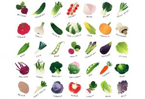 List of Vegetables Names For Kids (With Pictures)