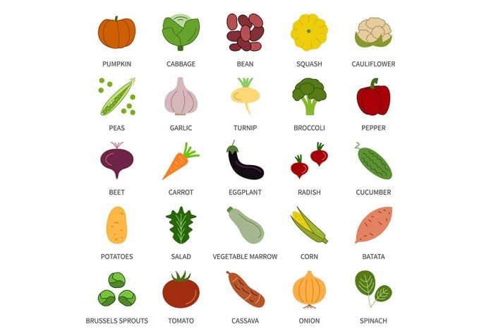 List of Vegetables Names For Kids (With Pictures)