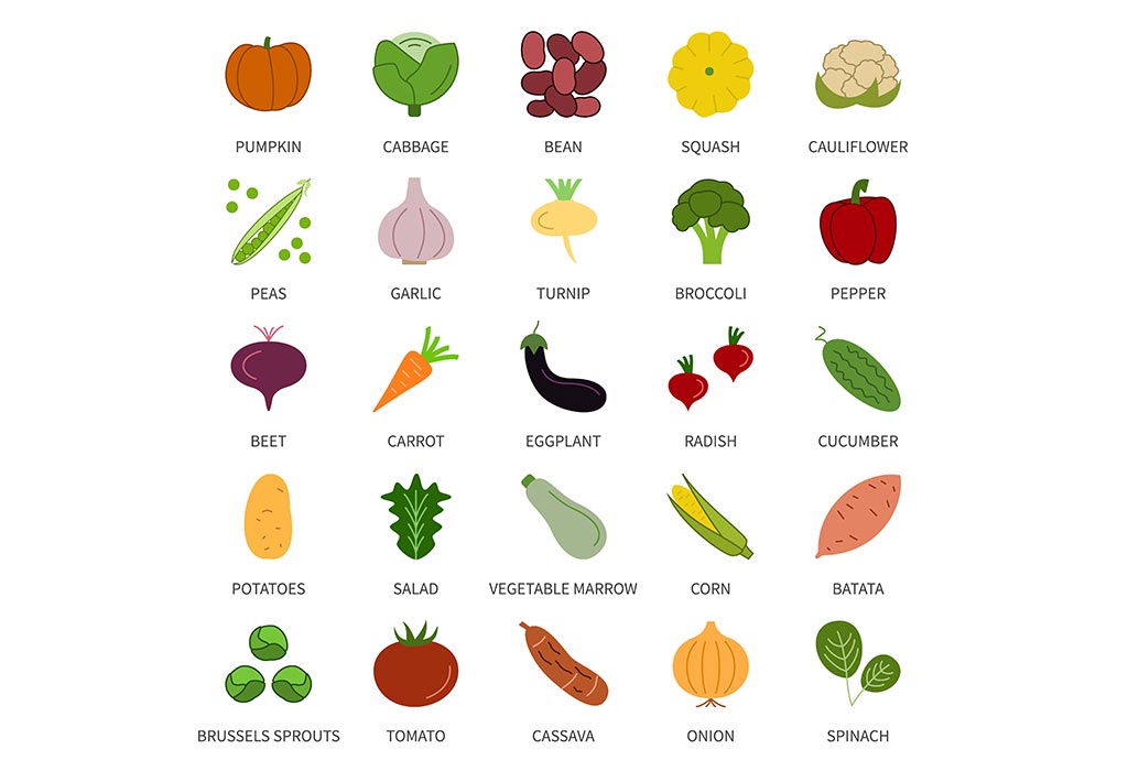 <(Vegetable Names in English for Kids>)