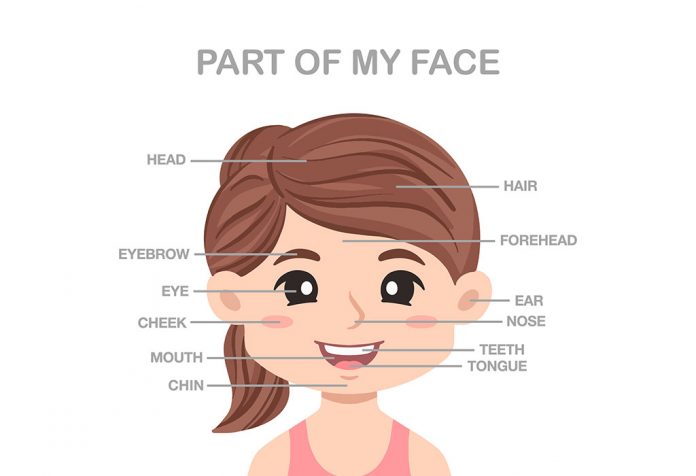 Teaching Face Parts Names in English to Toddlers & Preschoolers