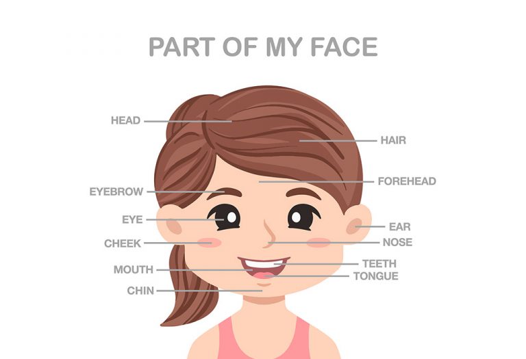 Teaching Face Parts Names In English To Toddlers & Preschoolers