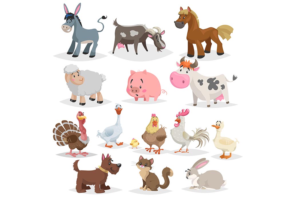 Farm Animal Names In English For Kids