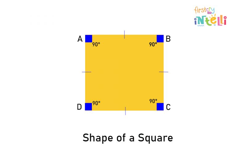 Teaching Square Shape To Preschoolers