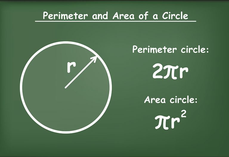 Teaching Circle Shape (With Examples) To Kindergarten Kids